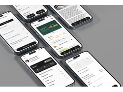 Проект MetalApp