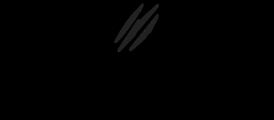 Прозрачный фон (9).png
