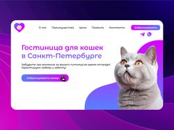 Hotel for Cats