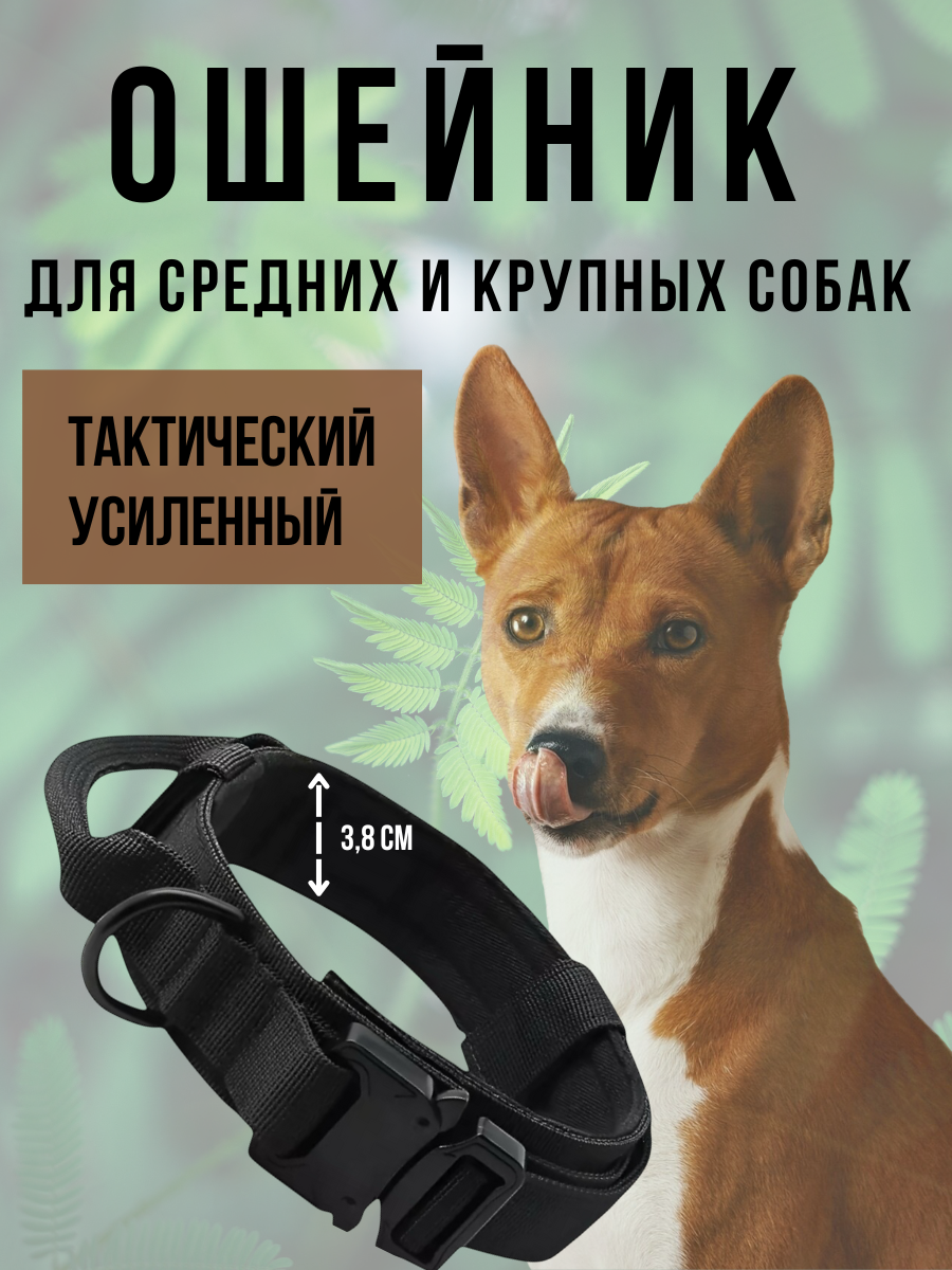 IMG_8091.png