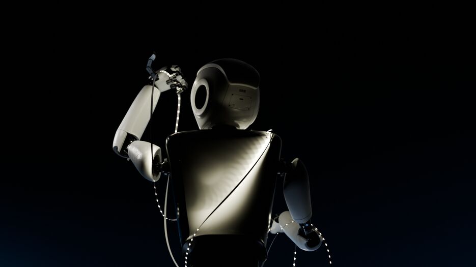 lightsback.png