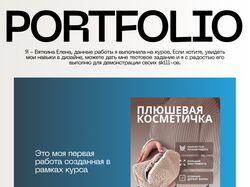 Портфолио