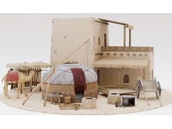 Environment for a Turkmen settlement