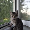 Olena2343