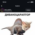apronii