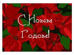 Иллюстрации