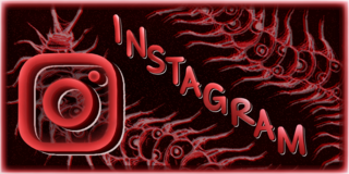 Instagram.png