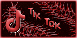 TikTok .jpg