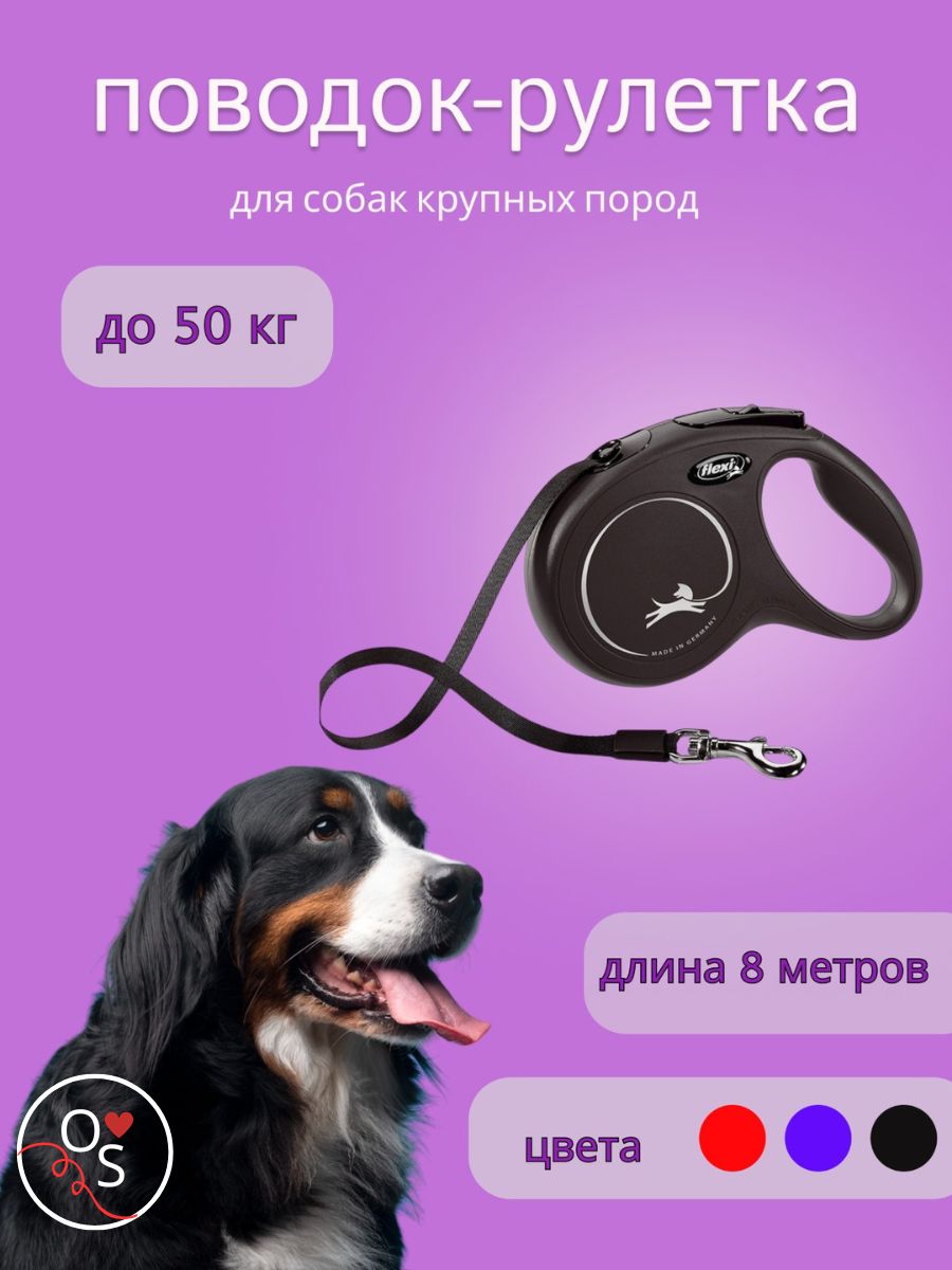 Добавить основной текст.jpg