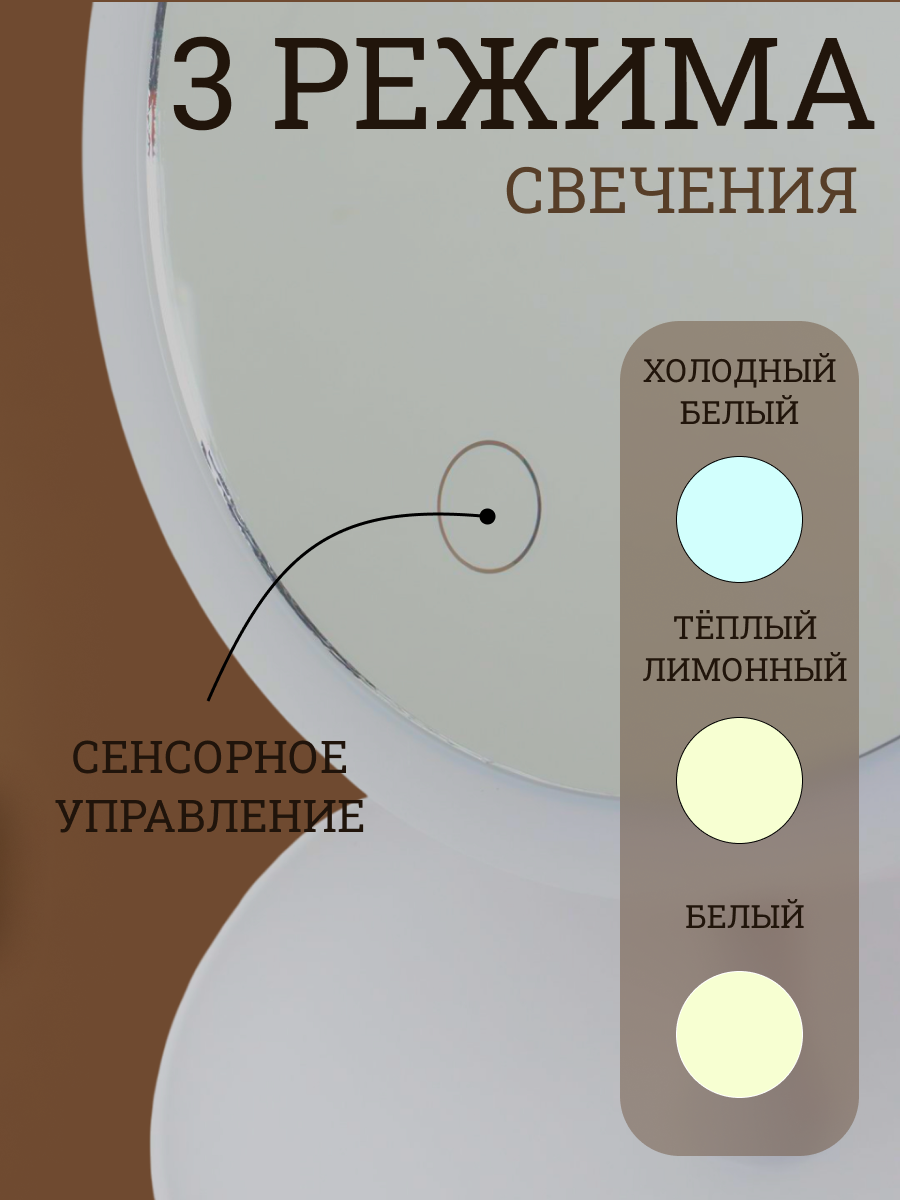 IMG_9491.png