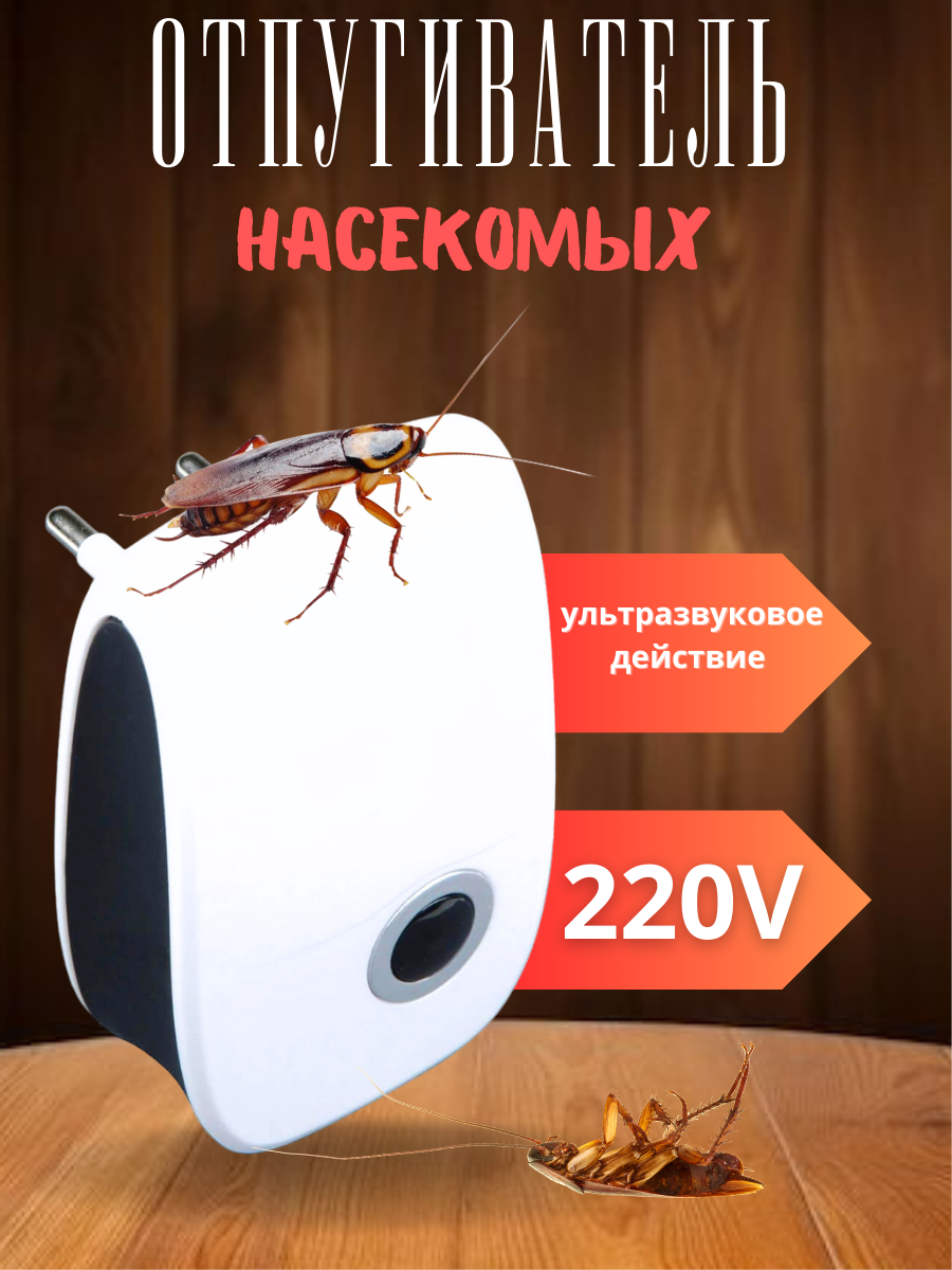 ультрзвуковое_20241210_232222_0000.png