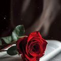 Nadia_359
