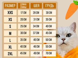Инфографика