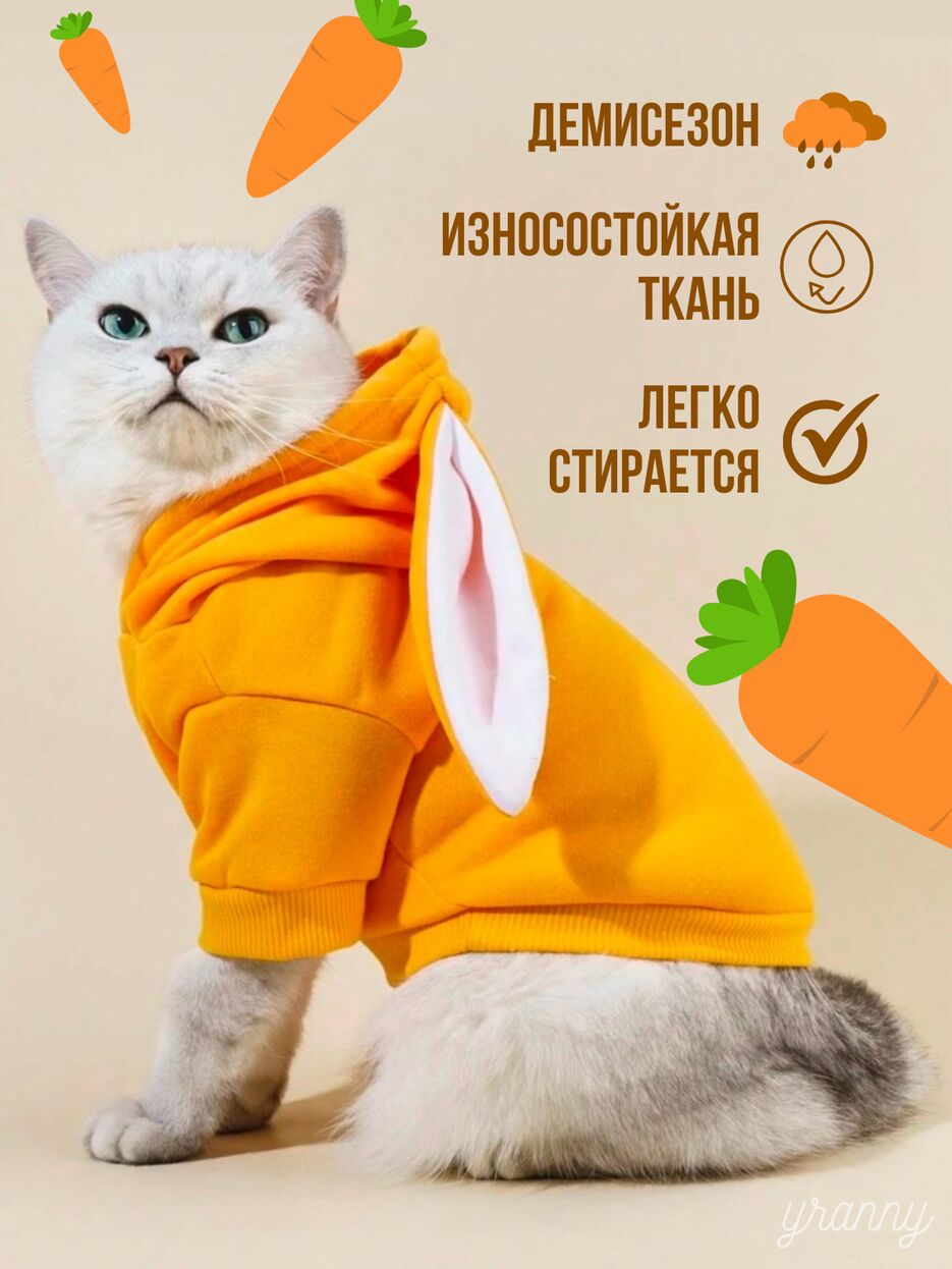 IMG_0540.png