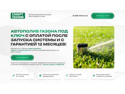 Автополив газона под ключ
