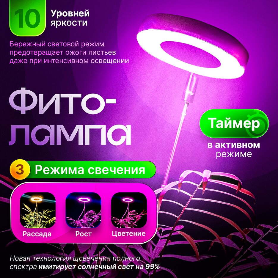 ФИТО-ЛАМПА.png