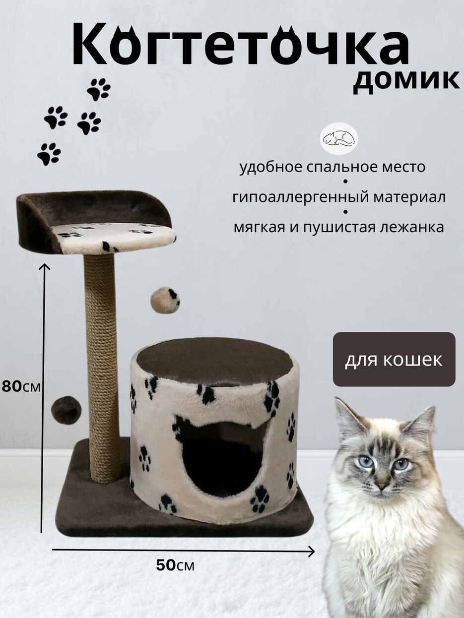 когтеточка.png