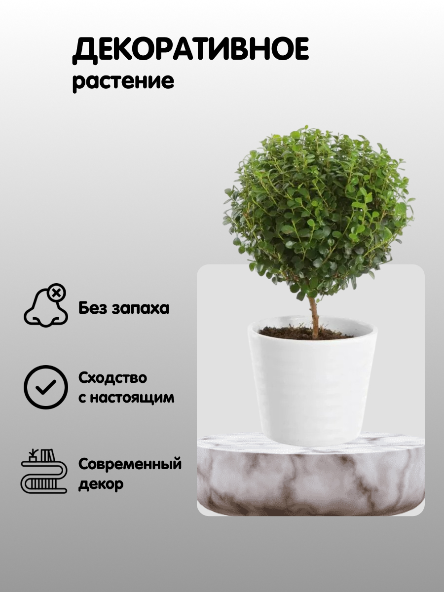 цветок.jpg