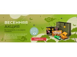 Баннер весенняя акция
