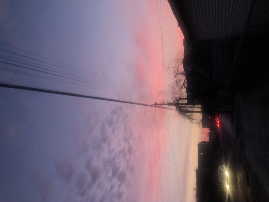 209BF5E2-431C-4E5E-B5CF-547AA2933ABF.jpeg