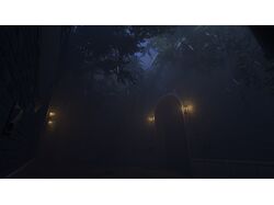 дерево в ночи