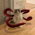 Hellstumy