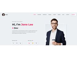 Сайты под ключ Vue 3, Node js