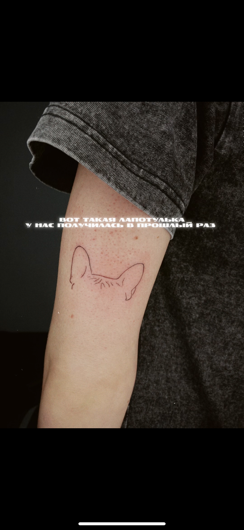 9BDFFBEC-5A85-4147-A4F8-C7F7E1A21D07.png