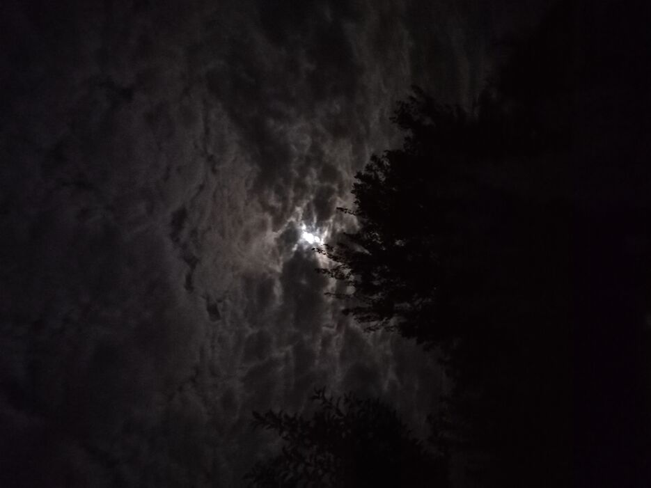 20240918_224729.jpg