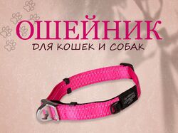 Инфографика