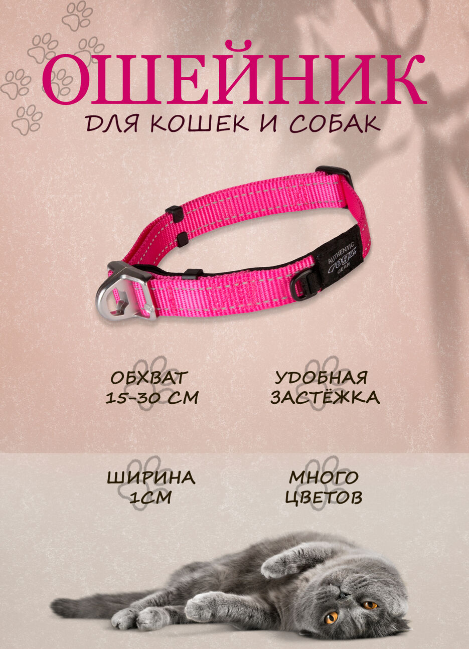 a07601fb4fea3dbe623bde19c5df4bc7b8738bcc-1737994525.jpg