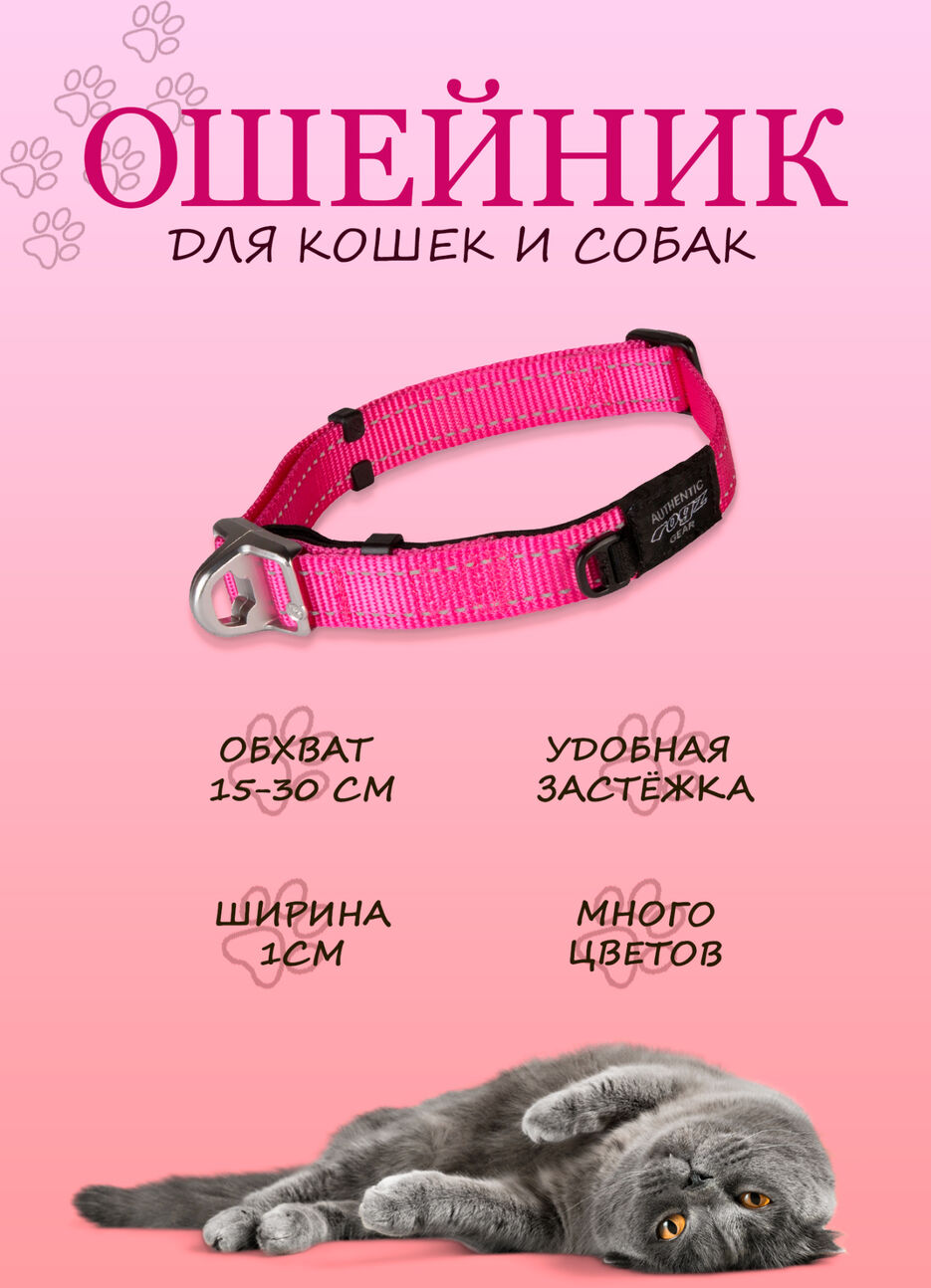 cd4f251749f70c5aada3edc424a48a05c773b7b2-1737994507.jpg