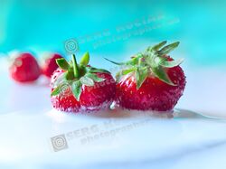 FOOD / Еда /