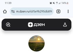 Собственные статьи на Яндекс.Дзен