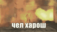 GIF-539f28bf2a22a86d415f65dd672d4c46.gif