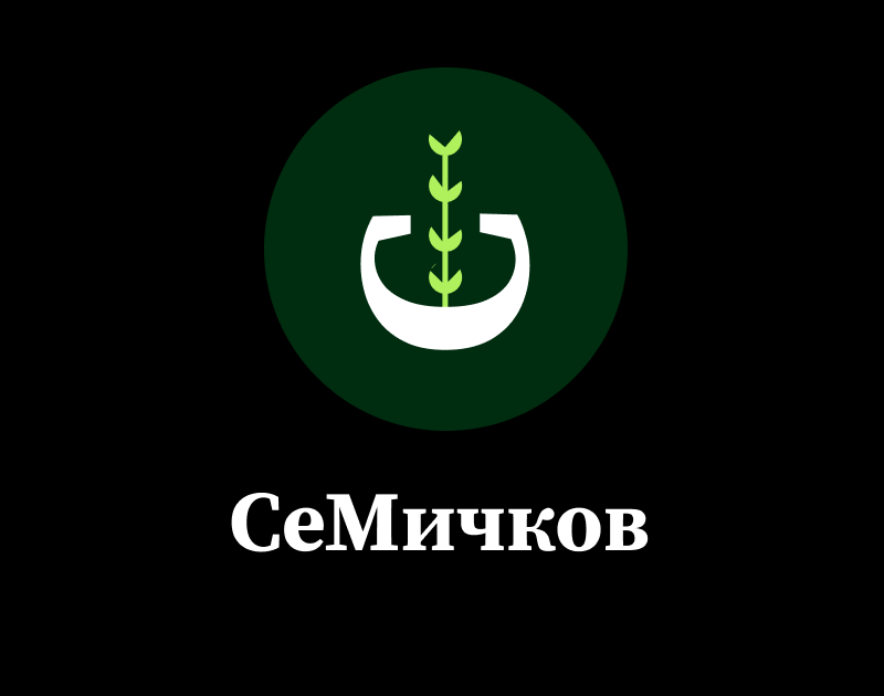 лого 2.png