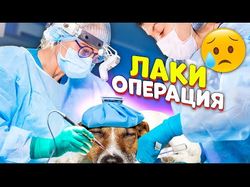  Монтаж серий на YouTube