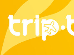 Фирменный Стиль Trip-Top туристическая компания
