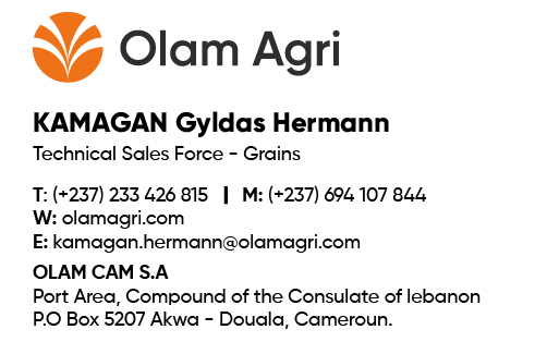 Carte de visite OLAM_Plan de travail 1.jpg