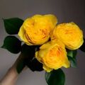Natali_81-06