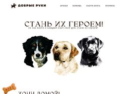 Dog Shelter Dog Shelter