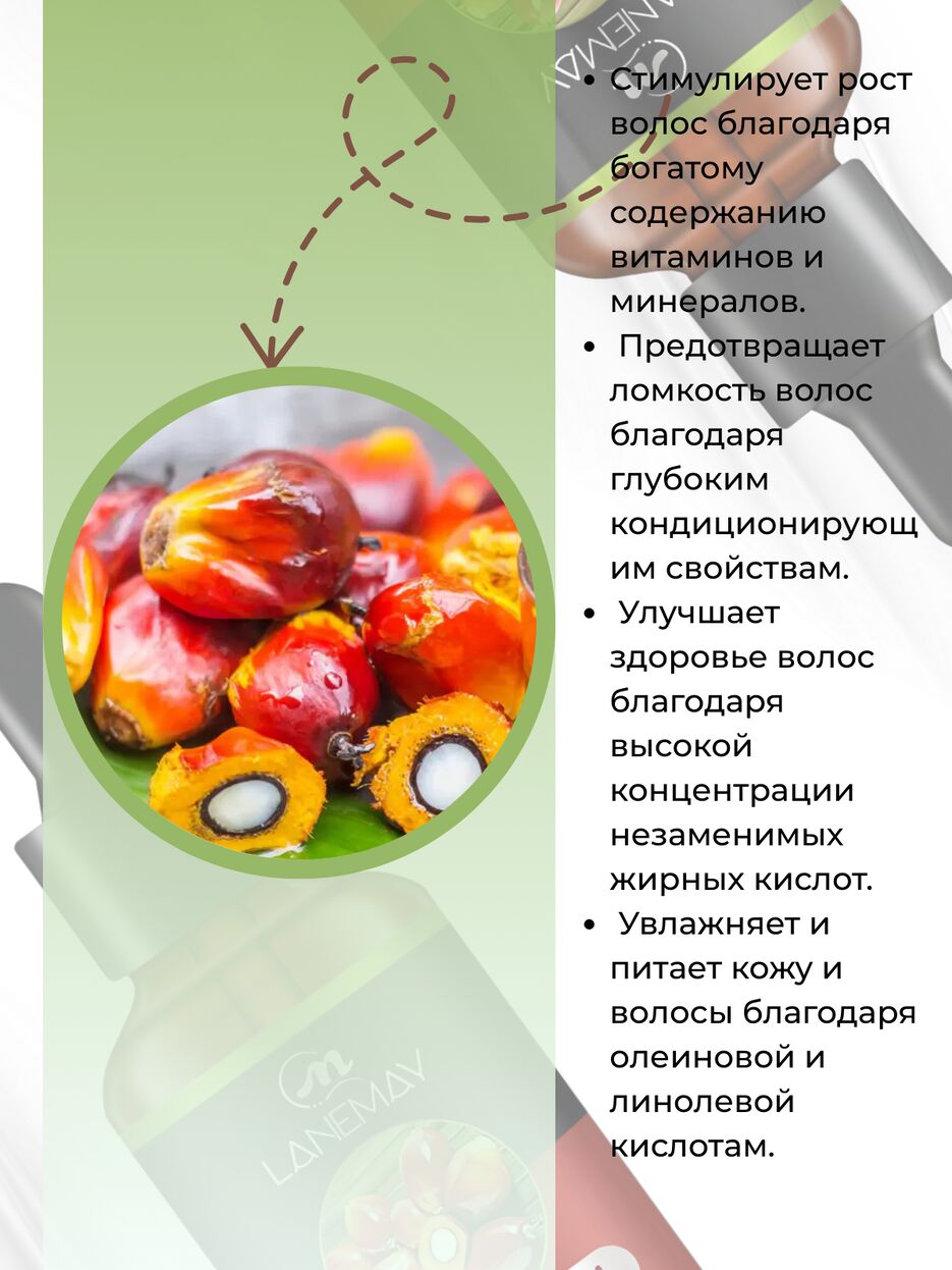 IMG_2301.png