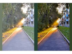 Golden Pathway