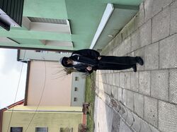 Перевод текста (английский, польский)