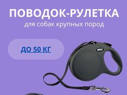 Инфографика