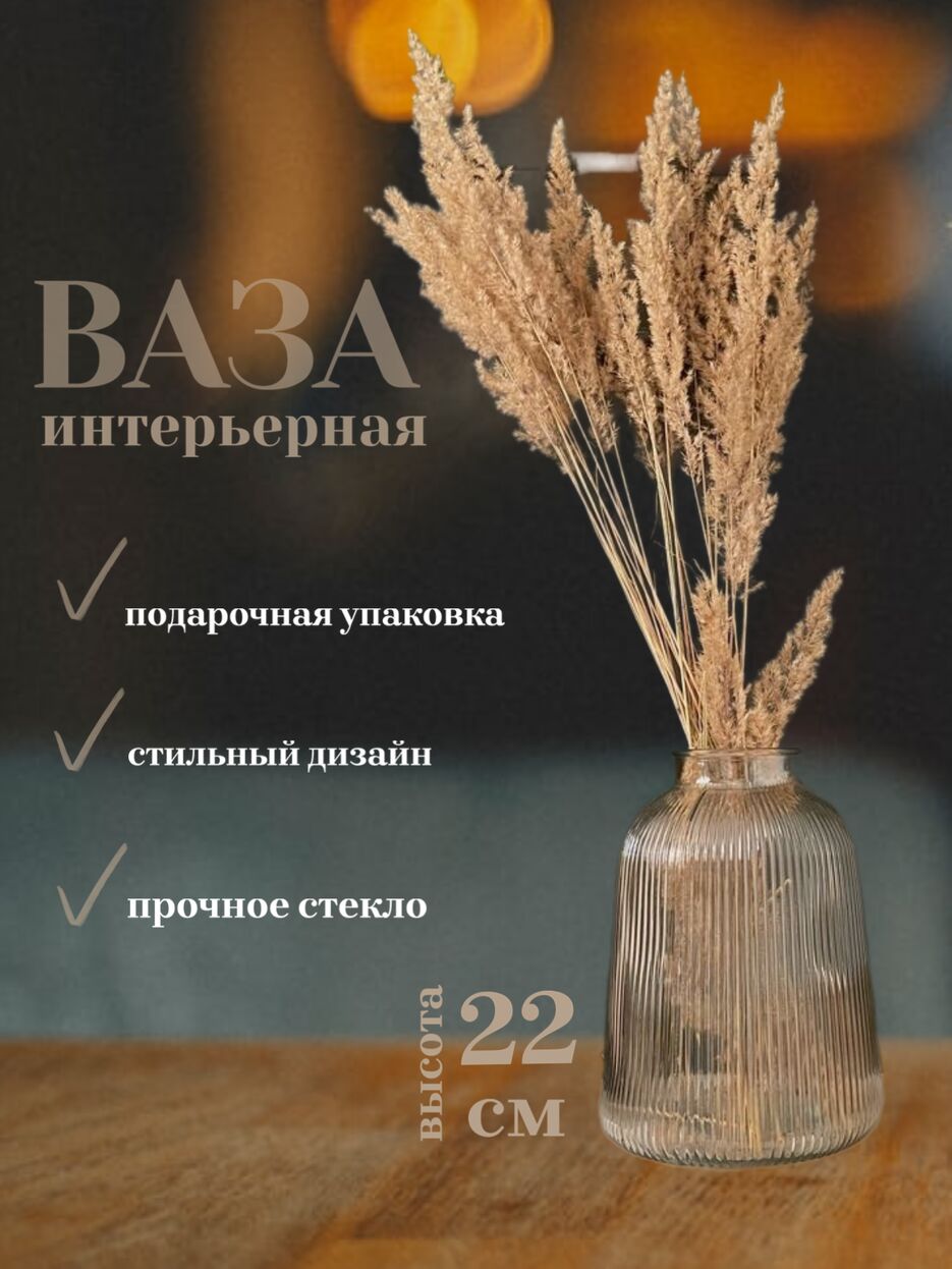 IMG_5274.png