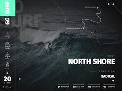 Go-surf