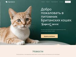 Дизайн лендинга для питомника