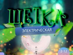 Карточка