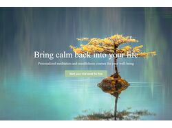 ZenSpace